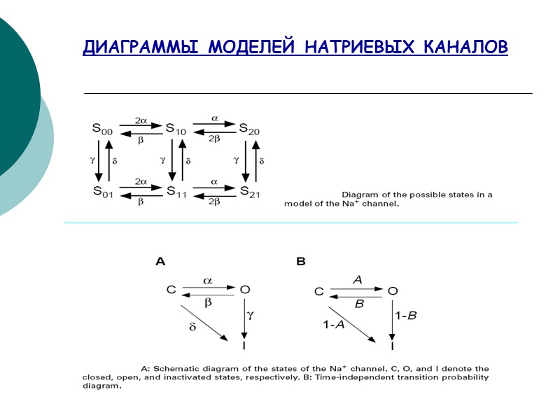 ДИАГРАММЫ МОДЕЛЕЙ НАТРИЕВЫХ КАНАЛОВ